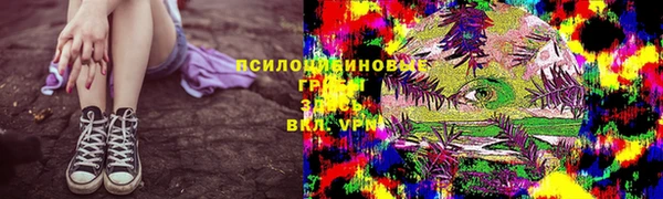бошки Карпинск