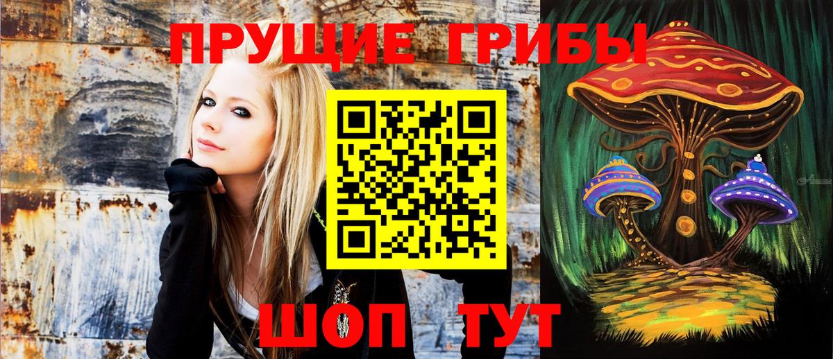 Галлюциногенные грибы прущие грибы Первоуральск