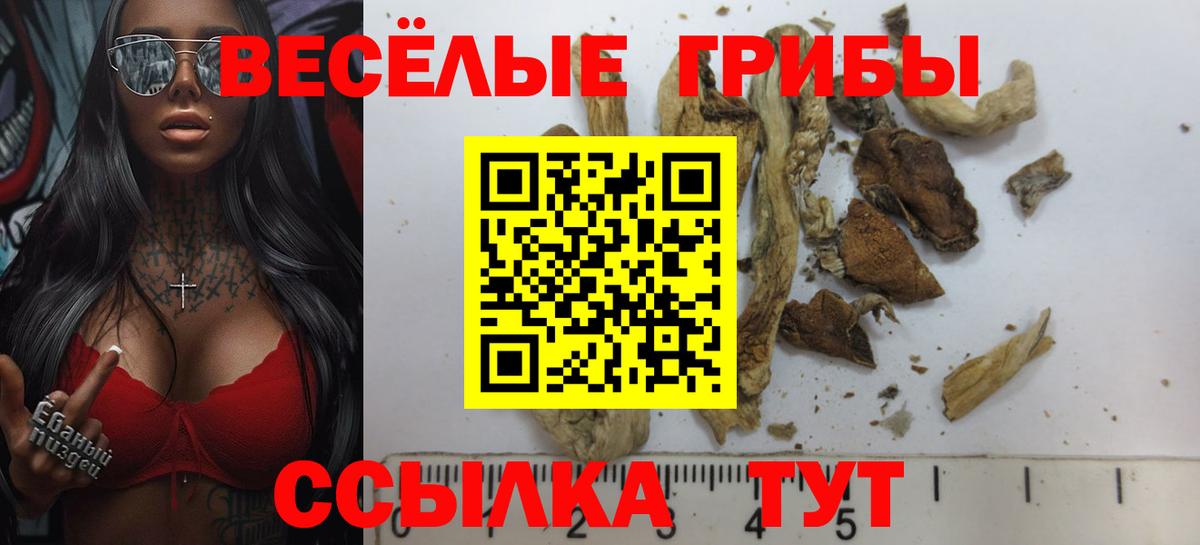 купить наркотик  Псилоцибиновые грибы Cubensis  Вход с VPN  Первоуральск  Псилоцибиновые грибы ЛСД 